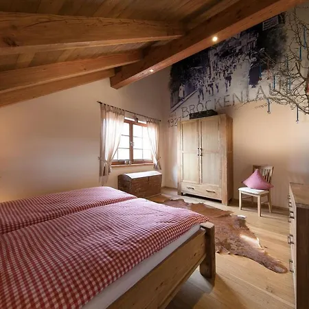 Sports Chalet No 19 Apartment Ilsenburg